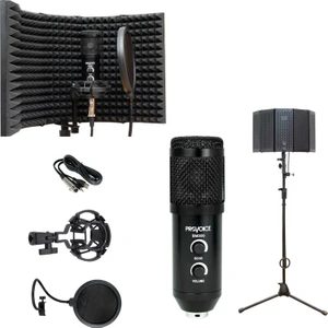 Audio BM-300 Full Studyo Ses Kayıt Seti SİYAH