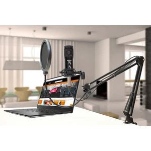 BM-300 Stüdyo Mikrofon+ AS-21 Stand+ Pop Filtre Full Set SİYAH