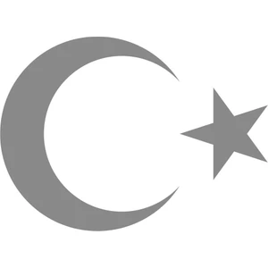 Türk Bayrağı Ay Yıldız 00323