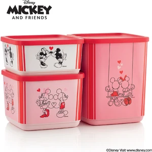 Minnie & Mickey Kare Saklama Kabı Set