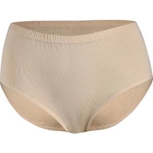 6 Adet Bayan Biyeli Yüksek Bel Bato Külot