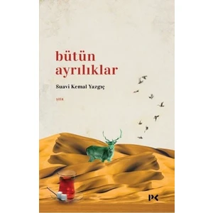 Bütün Ayrılıklar - Suavi Kemal Yazgıç
