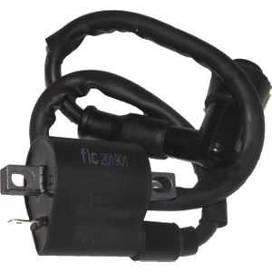 Falcon Cg Grubu Ateşleme Bobini & Buji Başlığı Orijinal