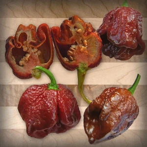 Naturel Tohum Douglah Hot Pepper Tohumu