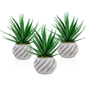 3 Adet Kıvrımlı Beton Saksıda Yapay Kaktüs Aloevera