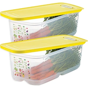 Sera Buzdolabı Saklama Kabı ( 2 x 6.1 Lt )