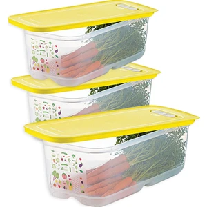 Sera Buzdolabı Saklama Kabı ( 3 x 6.1 Lt )