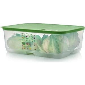 Sera Buzdolabı Saklama Kabı 9.9 Lt