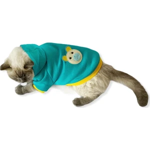 Blue Bear Kapşonlu Sweatshirt Kedi Süeteri Kedi Kıyafeti XXL