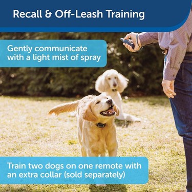 Petsafe Remote Spray Trainer 3 1 Arada K pek E itimi Fiyat