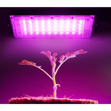 50 watt led grow light