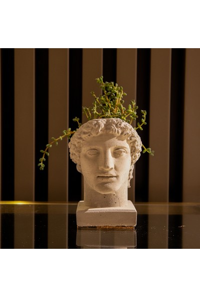 Benta Design Apollon Beton Heykel Saksı