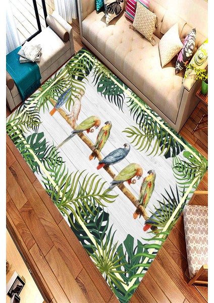 Kaymaz Dot Taban Yıkanabilir Dijital Baskı Renkli Papagan Desenli Salon Halısı 80 x 100