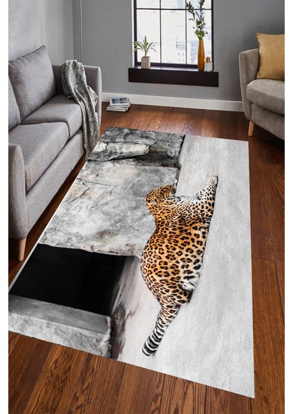 Kaymaz Dot Taban Yıkanabilir Dijital Baskı Ön Plan Leopar Salon Halısı 80 x 200