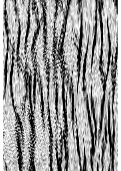 Kaymaz Dot Taban Yıkanabilir Dijital Baskı Uzun Zebra Salon Halısı 180 x 280