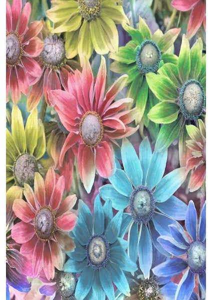Kaymaz Dot Taban Yıkanabilir Dijital Baskı Realist Modern Çiçekler Salon Halısı 80 x 200
