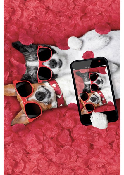 Kaymaz Dot Taban Yıkanabilir Dijital Baskı Havalı Köpekler Salon Halısı 180 x 280