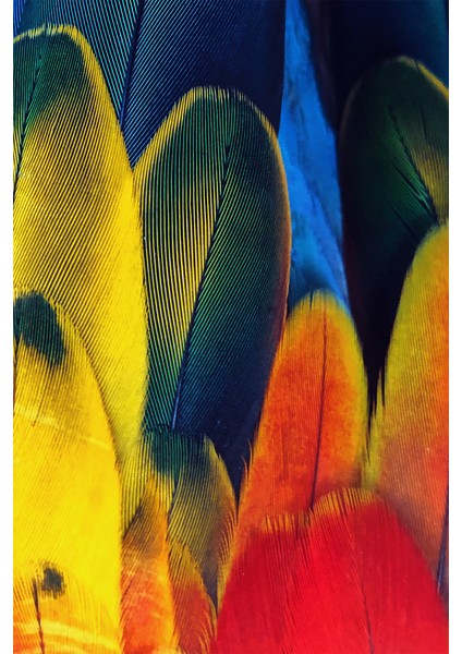 Kaymaz Dot Taban Yıkanabilir Dijital Baskı Modern Renkli Tüyler Salon Halısı 80 x 100