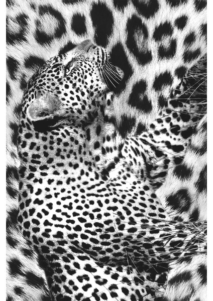 Kaymaz Dot Taban Yıkanabilir Dijital Baskı Leopar Doku Bütünleşmesi Salon Halısı 80 x 100 fiyatları