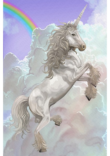 Kaymaz Dot Taban Yıkanabilir Dijital Baskı Gökkuşağı ve Unicorn Çocuk Halısı 80 x 100