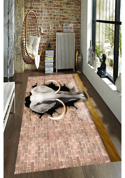 Kaymaz Dot Taban Yıkanabilir Dijital Baskı Duvar ve Fil Desenli Salon Halısı 80 x 100