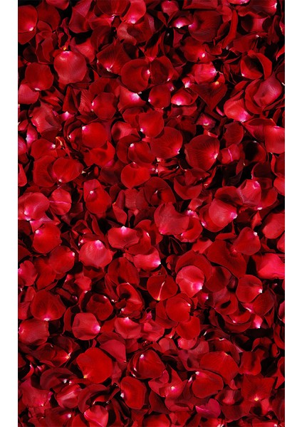 Kaymaz Dot Taban Yıkanabilir Dijital Baskı Gül Yaprakları Desenli Salon Halısı 180 x 280