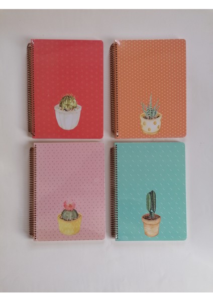 Saguaro 100 Yaprak Çizgili Spiralli Sert Kapak Defter 20 x 28 cm