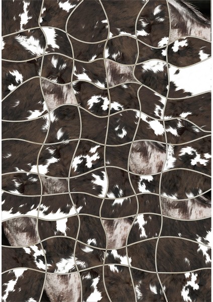 Kaymaz Dot Taban Yıkanabilir Dijital Baskı Asimetrik Çizgi Desenli Salon Halısı 80 x 200
