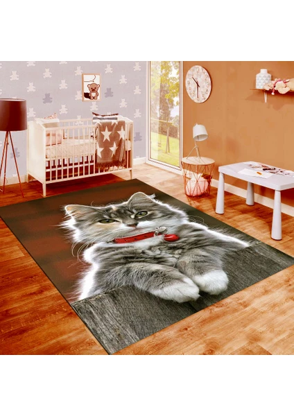 Kaymaz Dot Taban Yıkanabilir  Dijital Baskı Kedi Desenli Salon Halısı 165 x 230