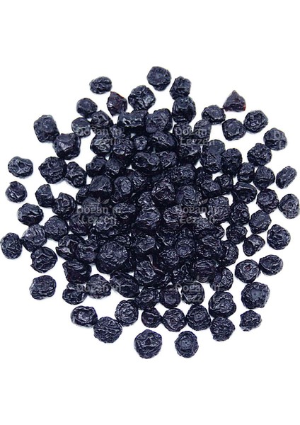 Yaban Mersini Kurusu (Blueberry) 500 G fiyatları