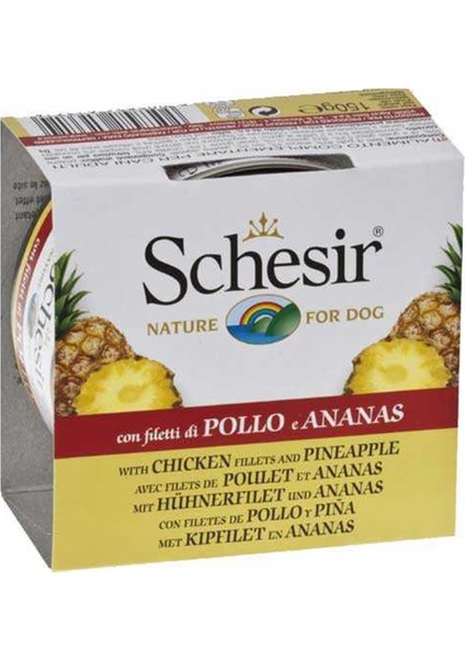 Tavuk ve Ananaslı Köpek Konservesi 150 gr