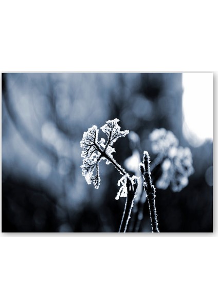 Ahşap Tablo Donmuş Dallar ve Yapraklar