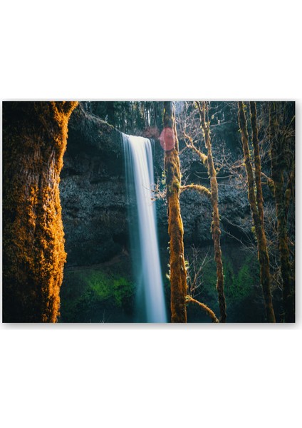 Ahşap Tablo Orman ve Köpüklü Şelale