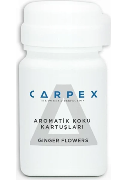 E2 Geniş Alan Koku Makinesi Kartuşu Ginger Flowers 125 ml