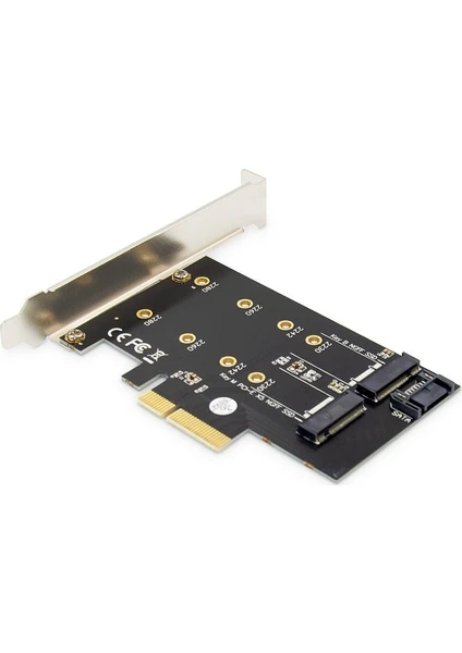 M.2 NGFF / NvME SSD PCI Express 3.0 Kart - DS-33170