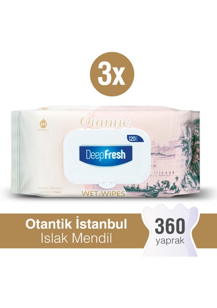 Deep Fresh Otantik Islak Mendil İstanbul 3 x 120 Yaprak