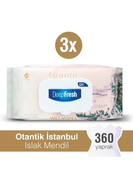 Deep Fresh Otantik Islak Mendil İstanbul 3 x 120 Yaprak