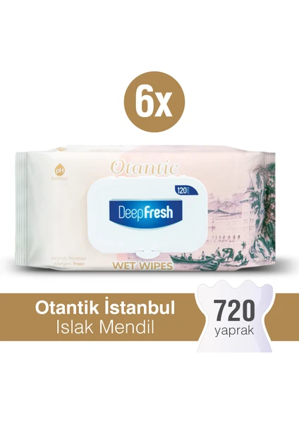 Deep Fresh Otantik Islak Mendil İstanbul 6 x 120 Yaprak