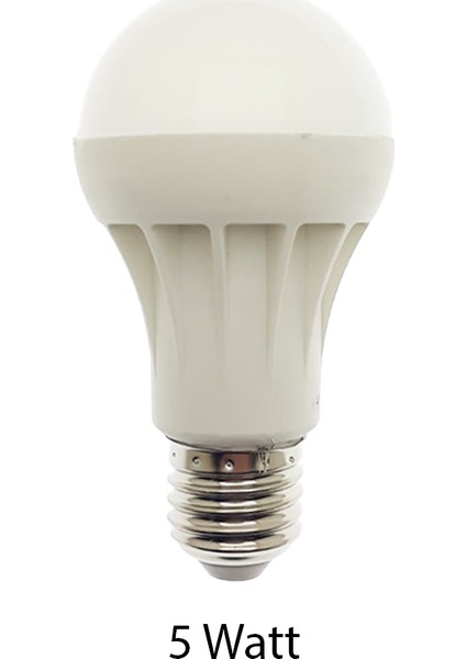 12 Volt Solar Ampul 5 Watt Seconder