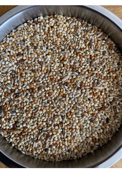 Muhabbet Kuşları Için Akıllı Yemlik + Premium Kalite Muhabbet Kuşu Yemi 1 kg indirimleri