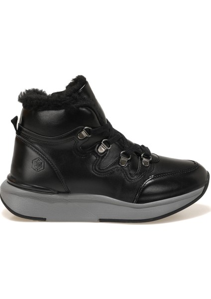 Merly Siyah Kadın Sneaker fiyatları