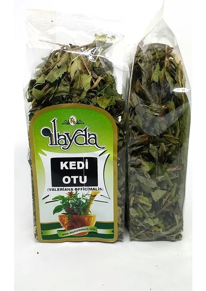 Ilayda Kedi Otu (Valeriana Officinalis)