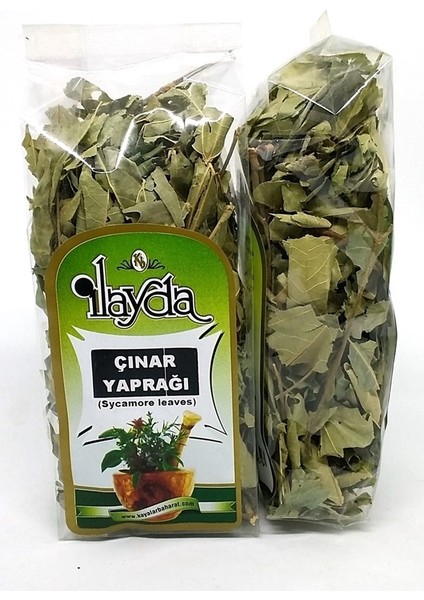 Ilayda Çınar Yaprağı (Sycamore Leaves)