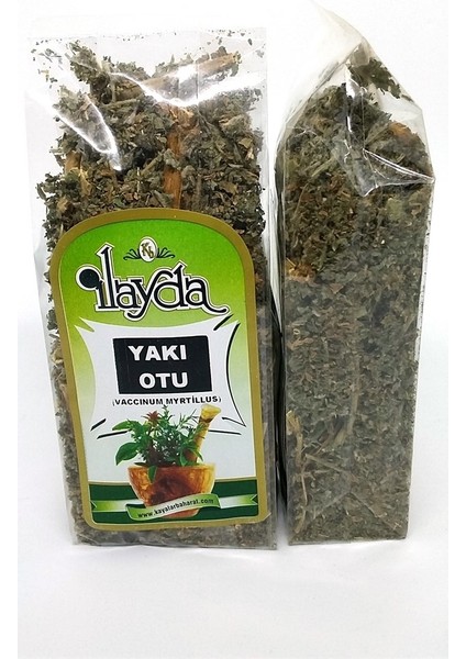 Ilayda Yakı Otu (Angustifolium Linnaeus)