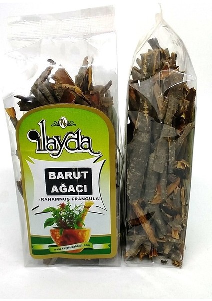 Ilayda Barut Ağacı (Rhamnus Frangula)