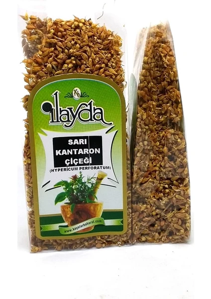 Ilayda Sarı Kantaron Çiçeği (Hypericum Perforatum)