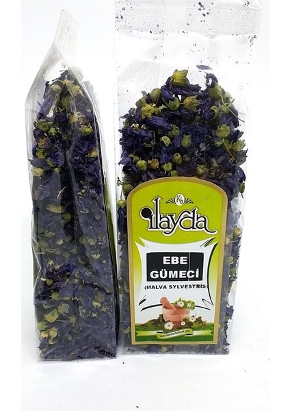 Ilayda Ebe Gümeci (Malva Sylvestris)