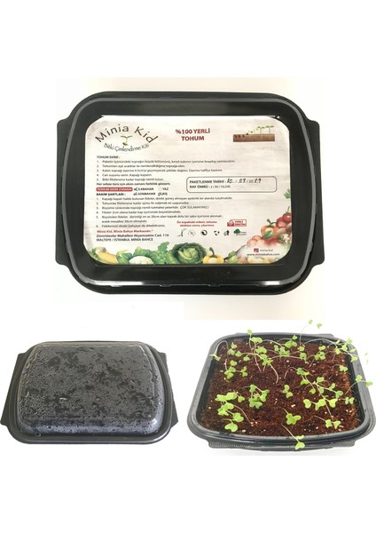 Minia Bahçe Patlıcan (Bostan) Çimlendirme Kiti balkon Saksısı ve Sulama Aparatı fiyatları
