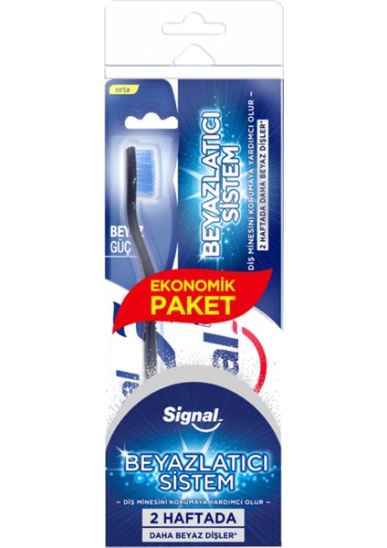 Sistem Diş Macunu 75 ml + Fırça
