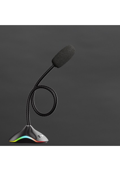 Auderay RMC38 USB Rgb Gaming Mikrofon